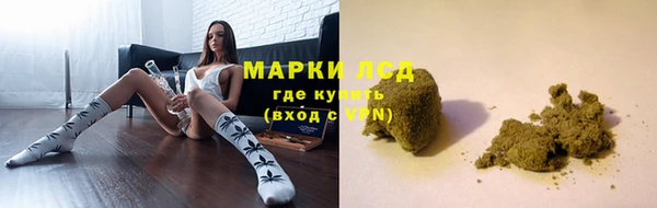 гидра Осинники