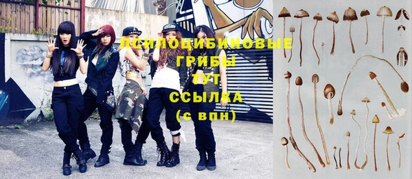 альфа пвп Магас