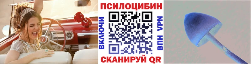 Галлюциногенные грибы прущие грибы  магазин  наркотиков  Шуя 
