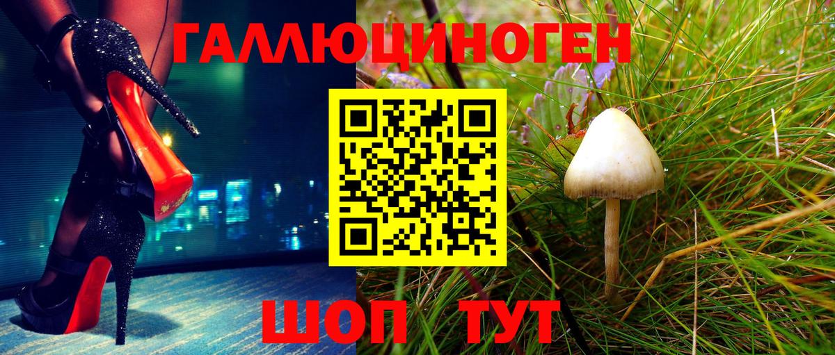 Псилоцибиновые грибы MAGIC MUSHROOMS  Шуя 