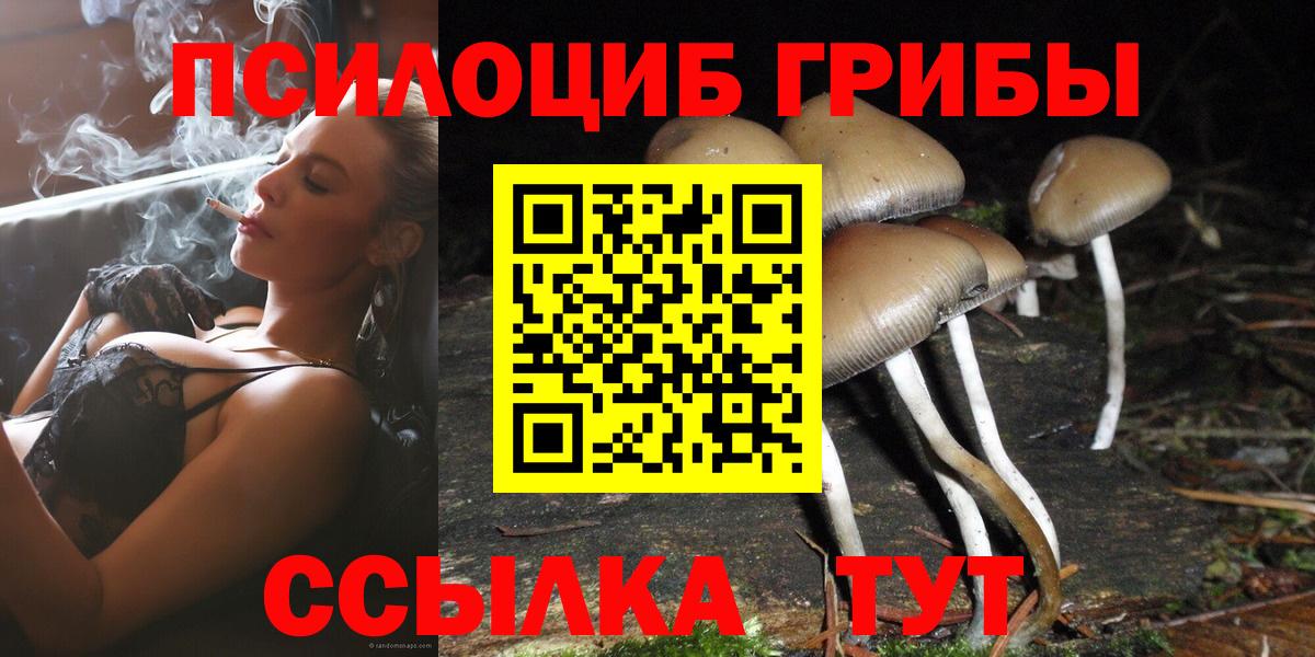 Галлюциногенные грибы прущие грибы Шуя