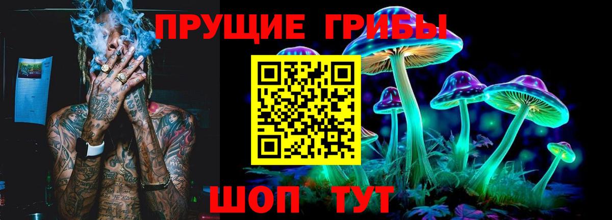 Шуя  Псилоцибиновые грибы прущие грибы  Вход с VPN 